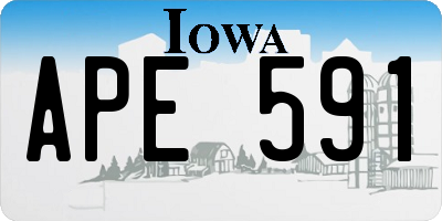 IA license plate APE591
