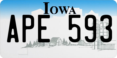 IA license plate APE593