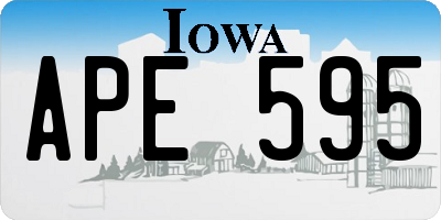 IA license plate APE595
