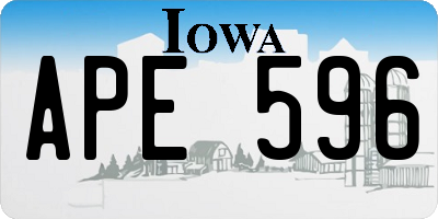 IA license plate APE596