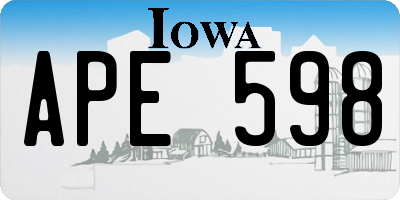 IA license plate APE598