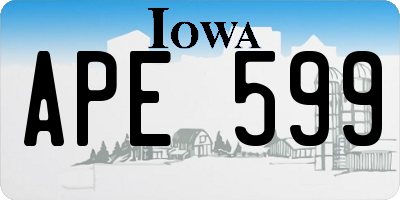 IA license plate APE599