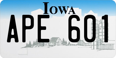 IA license plate APE601