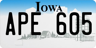 IA license plate APE605