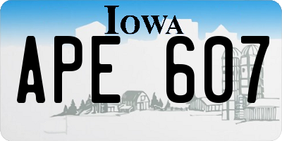 IA license plate APE607
