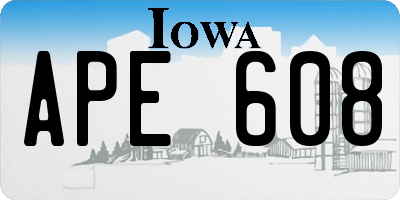 IA license plate APE608