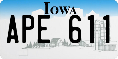IA license plate APE611