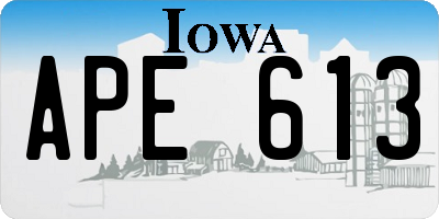 IA license plate APE613