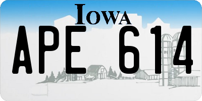 IA license plate APE614