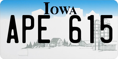 IA license plate APE615