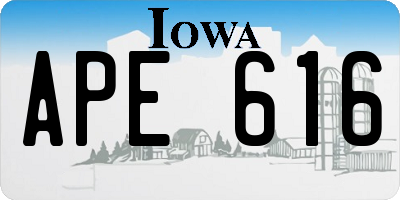 IA license plate APE616