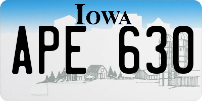 IA license plate APE630