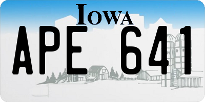 IA license plate APE641