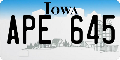 IA license plate APE645