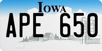 IA license plate APE650