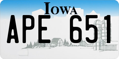 IA license plate APE651