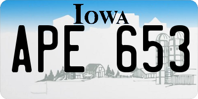 IA license plate APE653