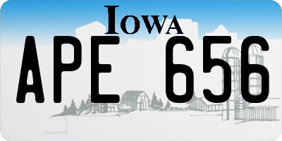 IA license plate APE656