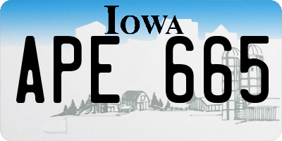 IA license plate APE665