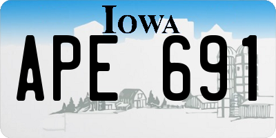 IA license plate APE691
