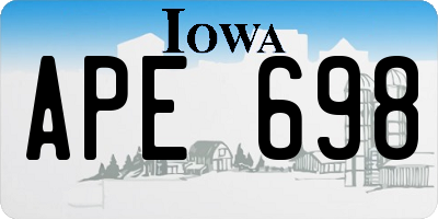 IA license plate APE698