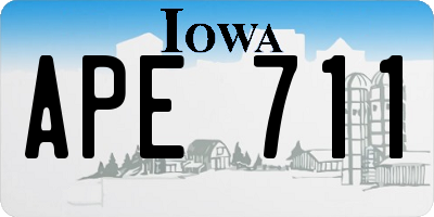 IA license plate APE711