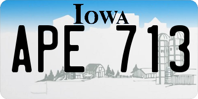 IA license plate APE713