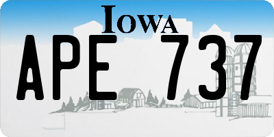 IA license plate APE737