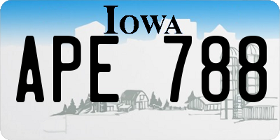 IA license plate APE788