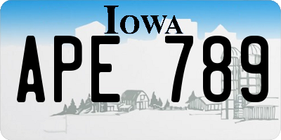 IA license plate APE789