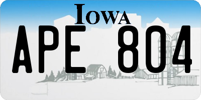 IA license plate APE804
