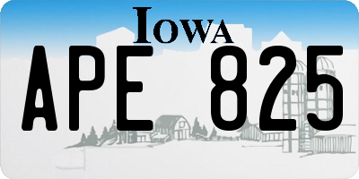 IA license plate APE825