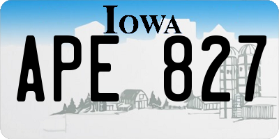 IA license plate APE827