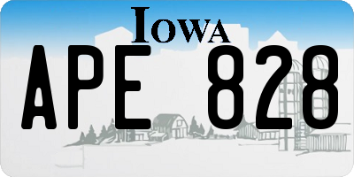 IA license plate APE828