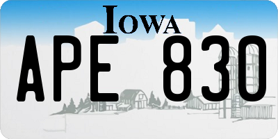 IA license plate APE830