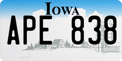 IA license plate APE838
