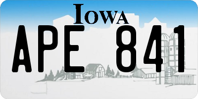 IA license plate APE841