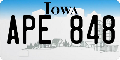IA license plate APE848