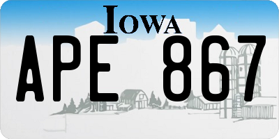 IA license plate APE867