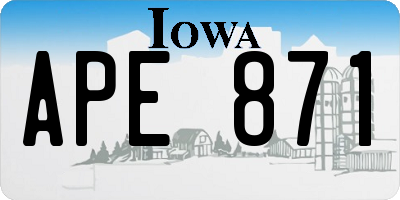 IA license plate APE871