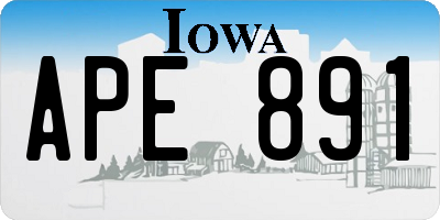 IA license plate APE891