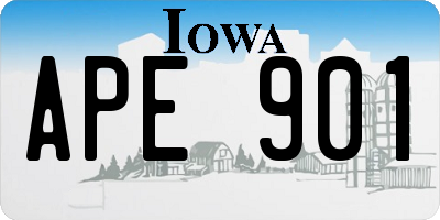IA license plate APE901