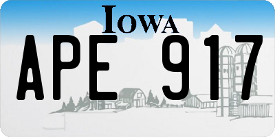 IA license plate APE917
