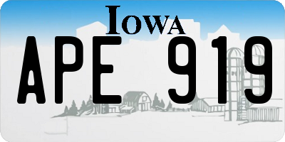 IA license plate APE919