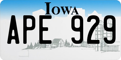 IA license plate APE929