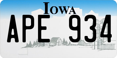 IA license plate APE934