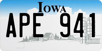IA license plate APE941