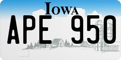 IA license plate APE950