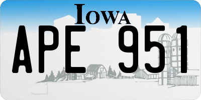 IA license plate APE951