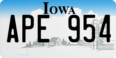 IA license plate APE954